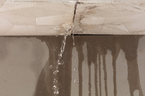 Professional Structural Drying technician working in Clinton, MI